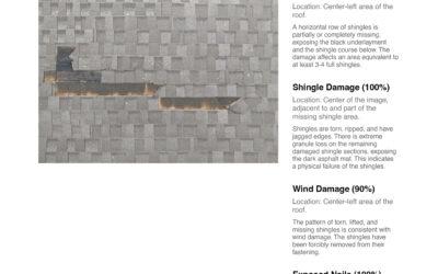 AI Aerial Roof Integrity Reports: The Future of Roof Inspections in West Texas